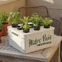 mini-jardin-hidropais-3.webp