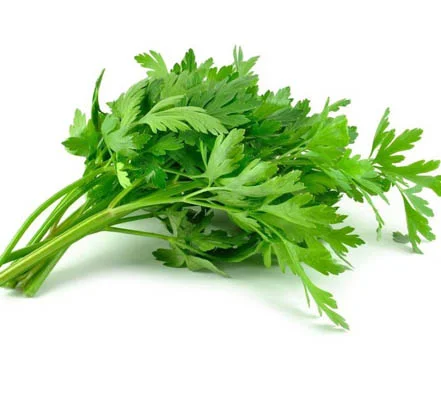 Semillas de Perejil