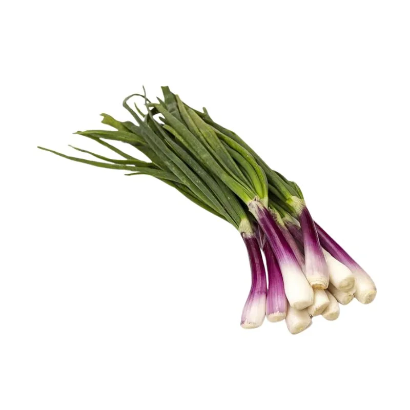 Semillas de Cebolla de Verdeo