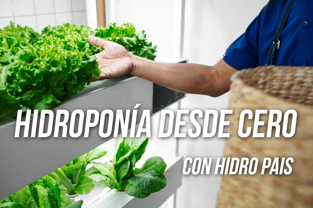 Curso Completo de Hidroponia