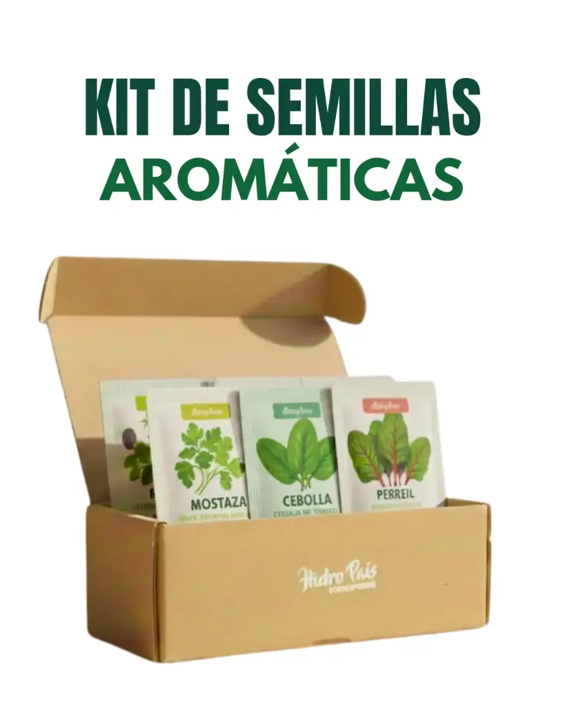 Kit de semillas - Aromáticas