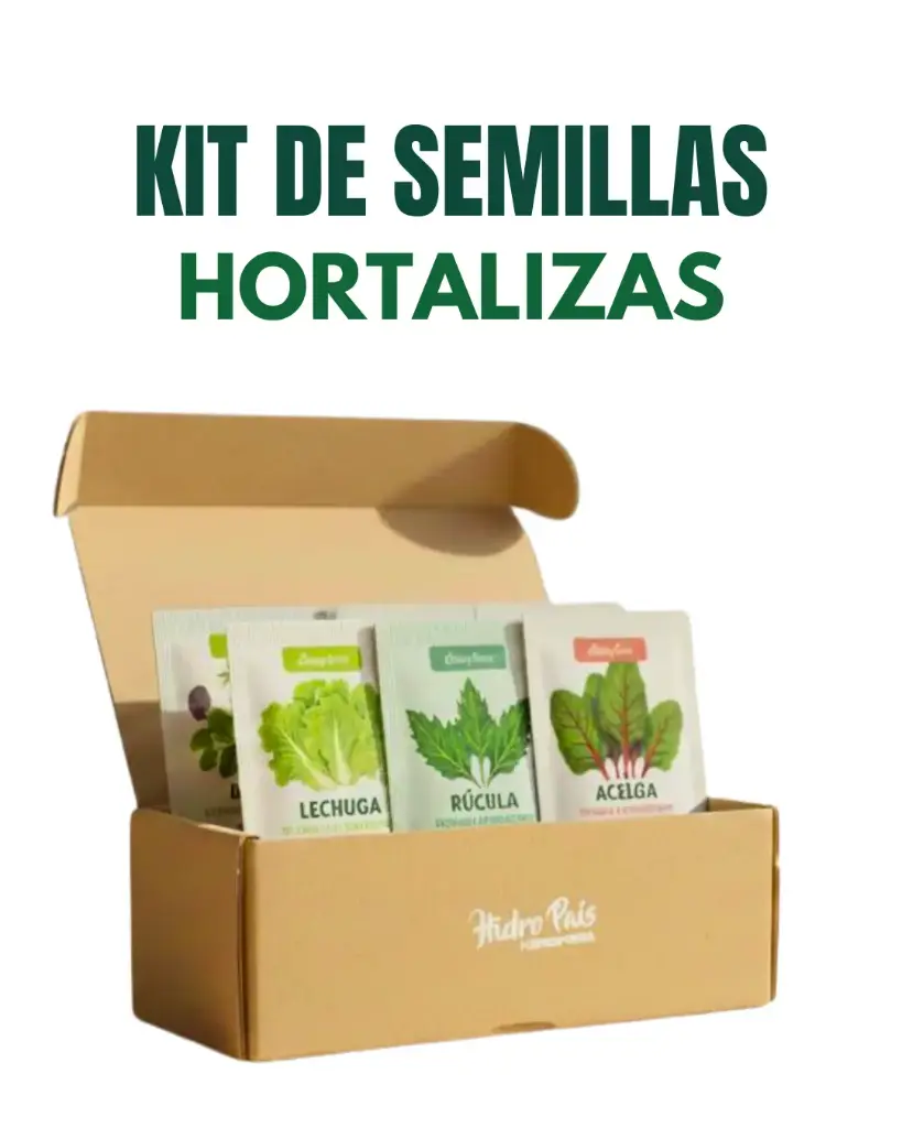 Kit de semillas - Hortalizas