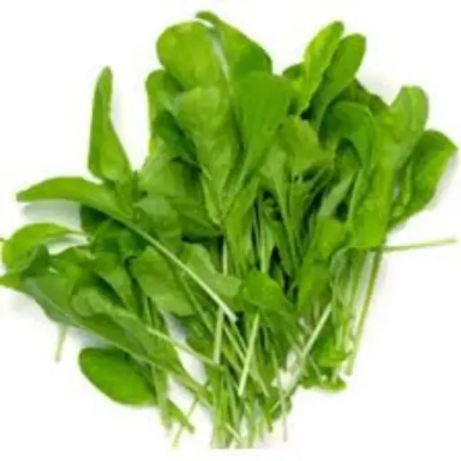 Semillas de Rúcula