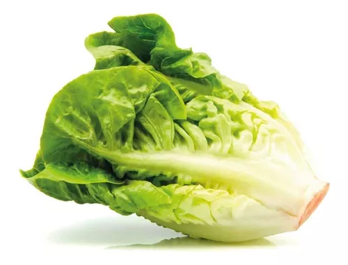 Semillas de Lechuga Crespa